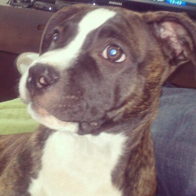 Profile Picture of اليكس مانسيل (@alex_mancillas1) on Twitter