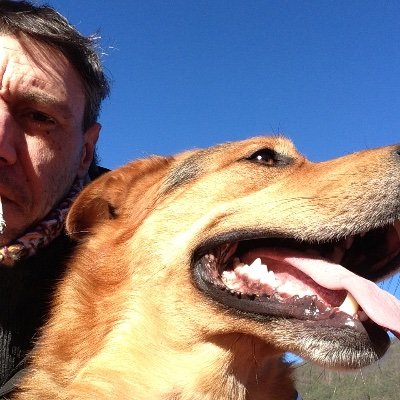 Profile Picture of Mario Di Bella (@Mariodibella20) on Twitter