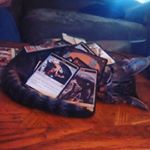 Profile Picture of Debra Renfro (@6hostberry560) on Instagram
