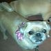 Profile Picture of Doris Drescher (@doris.drescher.75) on Facebook