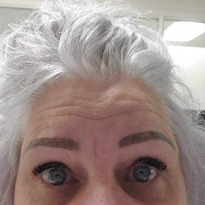 Profile Picture of CATHERINE E PALMIERI (@CATHERINEEPALM1) on Twitter