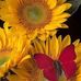 Profile Picture of Gretchen Doebler (@gretchen.doebler.58) on Facebook