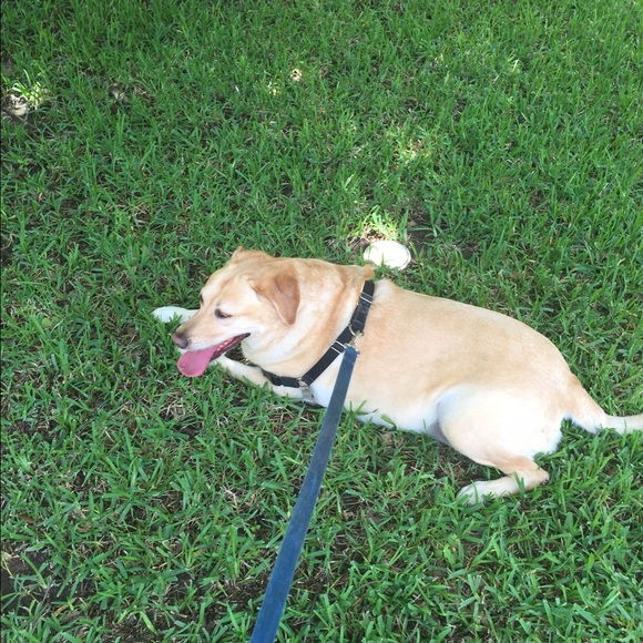 Profile Picture of Miranda Rivas (@mirandaz283) on Poshmark