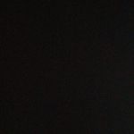 Profile Picture of Tony Palmieri (@_tony_palmieri_) on Instagram
