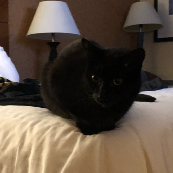 Profile Picture of Eoin Kennedy (@e_kennedy3) on Poshmark