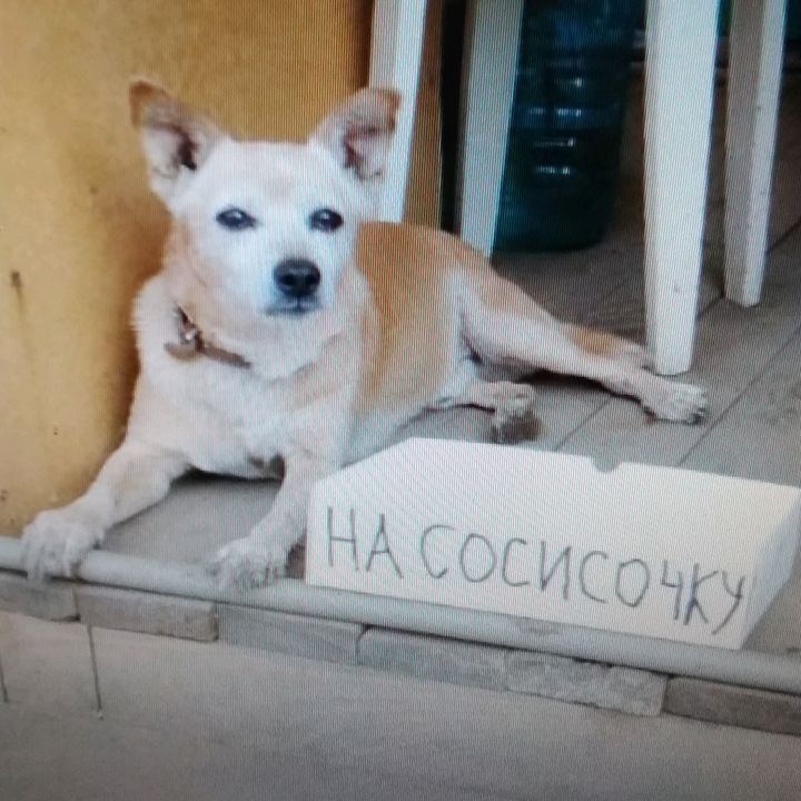 Profile Picture of lorison (@tiktok.comlorik) on Tiktok