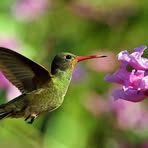 Profile Picture of Margaret Dupont (@margaret.dupont.35) on Facebook