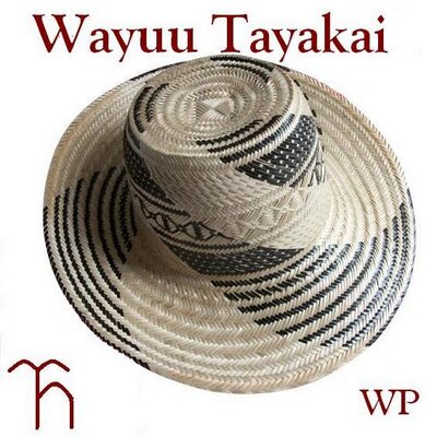 Profile Picture of Wilberto D. Pérez T. (@wilperez001) on Twitter