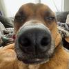 Profile Picture of JuJu Smith (@Schuster Cogburn) on Tiktok