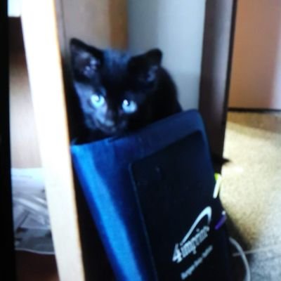 Profile Picture of Marvin Boyce (@MarvinBoyce16) on Twitter