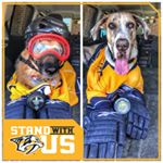Profile Picture of Jeremy Wolski (@warski57) on Instagram