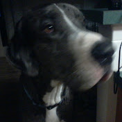 Profile Picture of Josh Bowland (@joshbowland2929) on Youtube