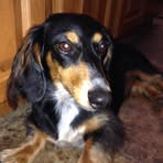 Profile Picture of Diane Cheney (@diane.cheney.75) on Facebook