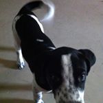 Profile Picture of Jason Burnham (@jburnh1) on Instagram