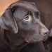 Profile Picture of Coco Barry (@coco.barry.1) on Facebook