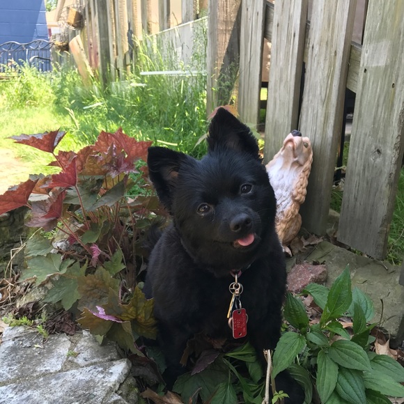 Tammy Rosenberger - Poshmark Profile Picture of Tammy Rosenberger (@rosentl) on Poshmark