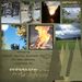 Profile Picture of Stacey Dowdle (@scrapmylife) on Pinterest