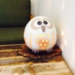 Profile Picture of sakuyan (@sakuyan1109) on Instagram