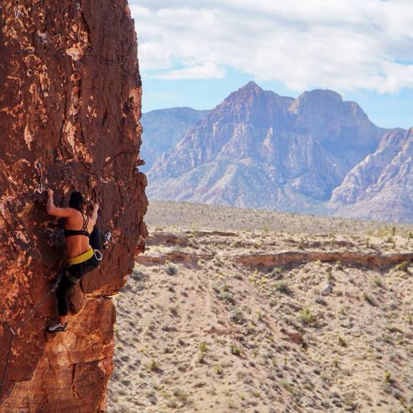 Profile Picture of Ann Nguyen (@annnguyen786) on Poshmark