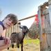 Profile Picture of Tom Goodenough (@tom.goodenough.507) on Facebook