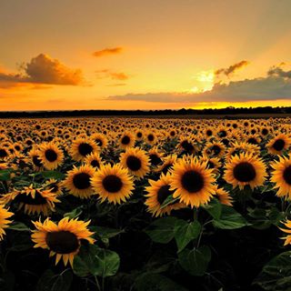 Profile Picture of Barbara Ayers (@Barbara-Ayers) on Facebook