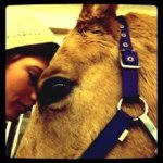 Profile Picture of Lisa Sutton (@lisa_sutton) on Instagram