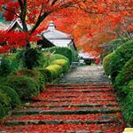 Profile Picture of Brian Yelin Aparicio (@brian_yelin_aparicio) on Instagram