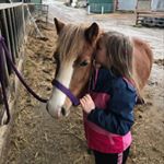 Profile Picture of Olivia Rose Sammons (@livvyrose2014) on Instagram