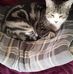Profile Picture of Janet Docherty (@janet.docherty.96) on Facebook