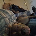 Profile Picture of Clayton Fields (@clayton.fields.9) on Instagram
