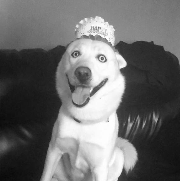 Isidra Barrera - Poshmark Profile Picture of Isidra Barrera (@isi15) on Poshmark