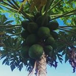 Profile Picture of Thomas Fesser (@thomasfesser) on Instagram