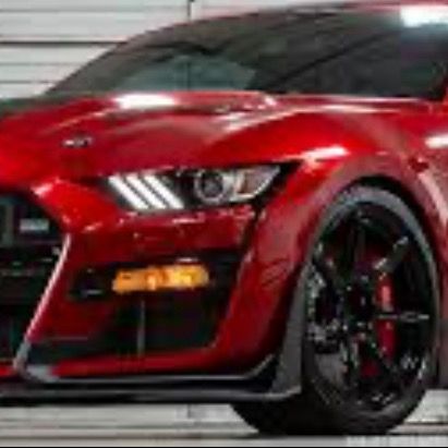 Profile Picture of user3745681758324 (@elizardo.lopez4) on Tiktok