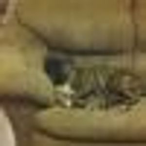 Profile Picture of Amanda Griggs (@183931535) on Myspace