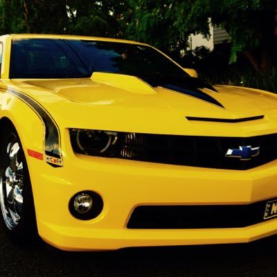 Profile Picture of Nickpiazza (@NickPiazza3) on Twitter