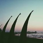 Profile Picture of Richard Ibañez (@diarioderick) on Instagram