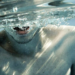 Profile Picture of Denis Adrian (@dj.denys_glontzzz112) on Flickr