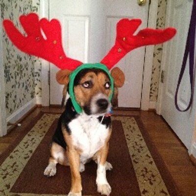Profile Picture of Rita Stout (@DueceyMax) on Twitter