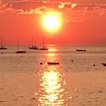 Profile Picture of Margaret Judge Doherty (@margaretjudgedoherty) on Instagram