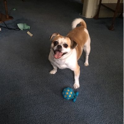 Profile Picture of Pat Finnerty (@PatFinnerty3) on Twitter