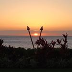 Profile Picture of Tim NSandy Caskey (@tim.caskey) on Instagram