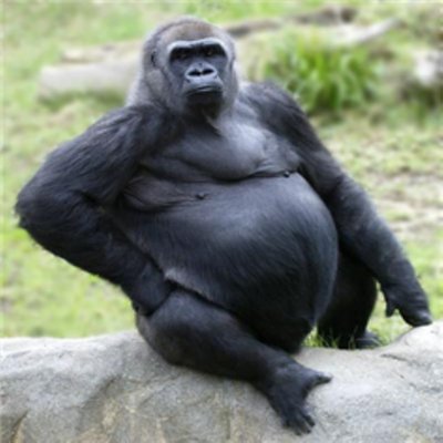 Profile Picture of Adammazin (@AdamAdammazin) on Twitter