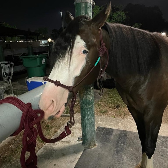 Bryn Keddie - Poshmark Profile Picture of Bryn Keddie (@brynkeddie) on Poshmark