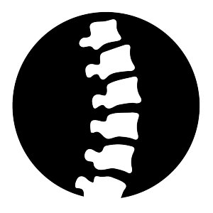 Profile Picture of Tom Riebesell (@RiebesellChiro) on Twitter
