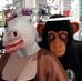 Profile Picture of Mark Sharples (@mark.sharples.16) on Facebook