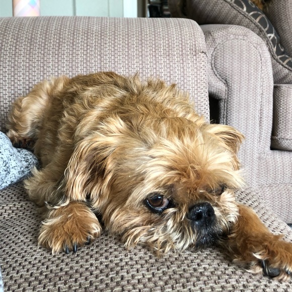 Profile Picture of Kelly Rubero (@krubero) on Poshmark