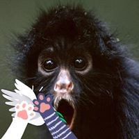 Profile Picture of Chris Cormier (@chris-cormier-17) on Quora