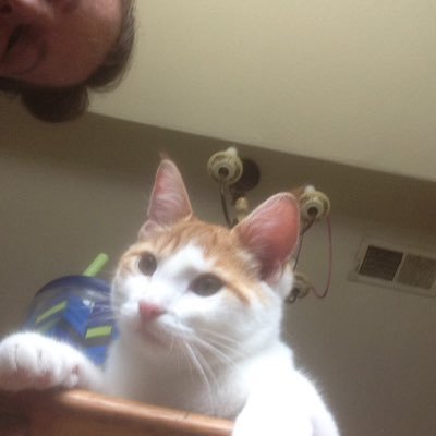 Profile Picture of Renee Price Calvert (@Reneepricecalve) on Twitter