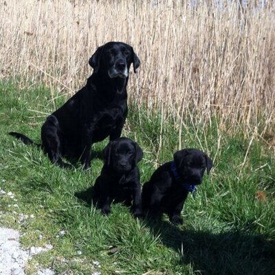 Profile Picture of Shawn Stansbury (@shawnjustakid) on Twitter