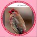 Profile Picture of Iftikhar Syed (@iftikhar.syed.188) on Facebook